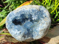 Natural Large Blue Celestite Geode Specimen x 1 From Sakoany, Madagascar - Toprock Gemstones and Minerals 