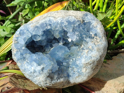 Natural Large Blue Celestite Geode Specimen x 1 From Sakoany, Madagascar - Toprock Gemstones and Minerals 