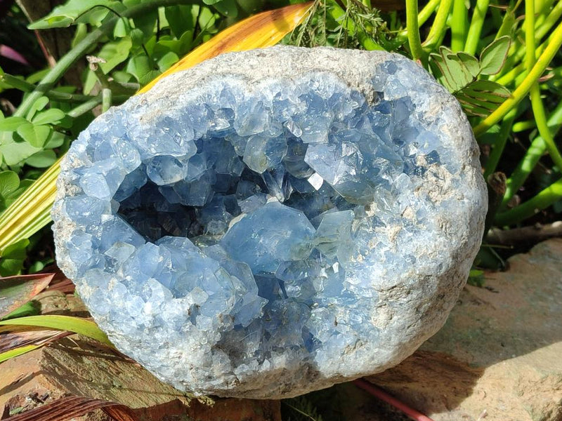 Natural Large Blue Celestite Geode Specimen x 1 From Sakoany, Madagascar - Toprock Gemstones and Minerals 