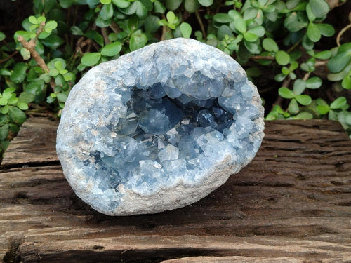 Natural Large Blue Celestite Geode Specimen x 1 From Sakoany, Madagascar - Toprock Gemstones and Minerals 