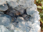 Natural Large Blue Celestite Geode Specimen x 1 From Sakoany, Madagascar - Toprock Gemstones and Minerals 