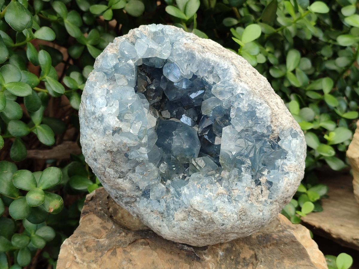 Natural Large Blue Celestite Geode Specimen x 1 From Sakoany, Madagascar - Toprock Gemstones and Minerals 