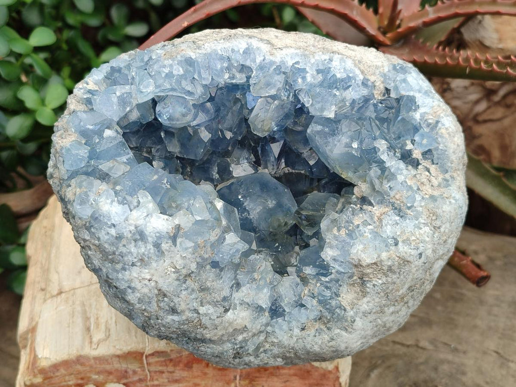 Natural Large Blue Celestite Geode Specimen x 1 From Sakoany, Madagascar - Toprock Gemstones and Minerals 