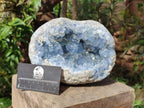 Natural Large Blue Celestite Geode Specimen x 1 From Sakoany, Madagascar - Toprock Gemstones and Minerals 