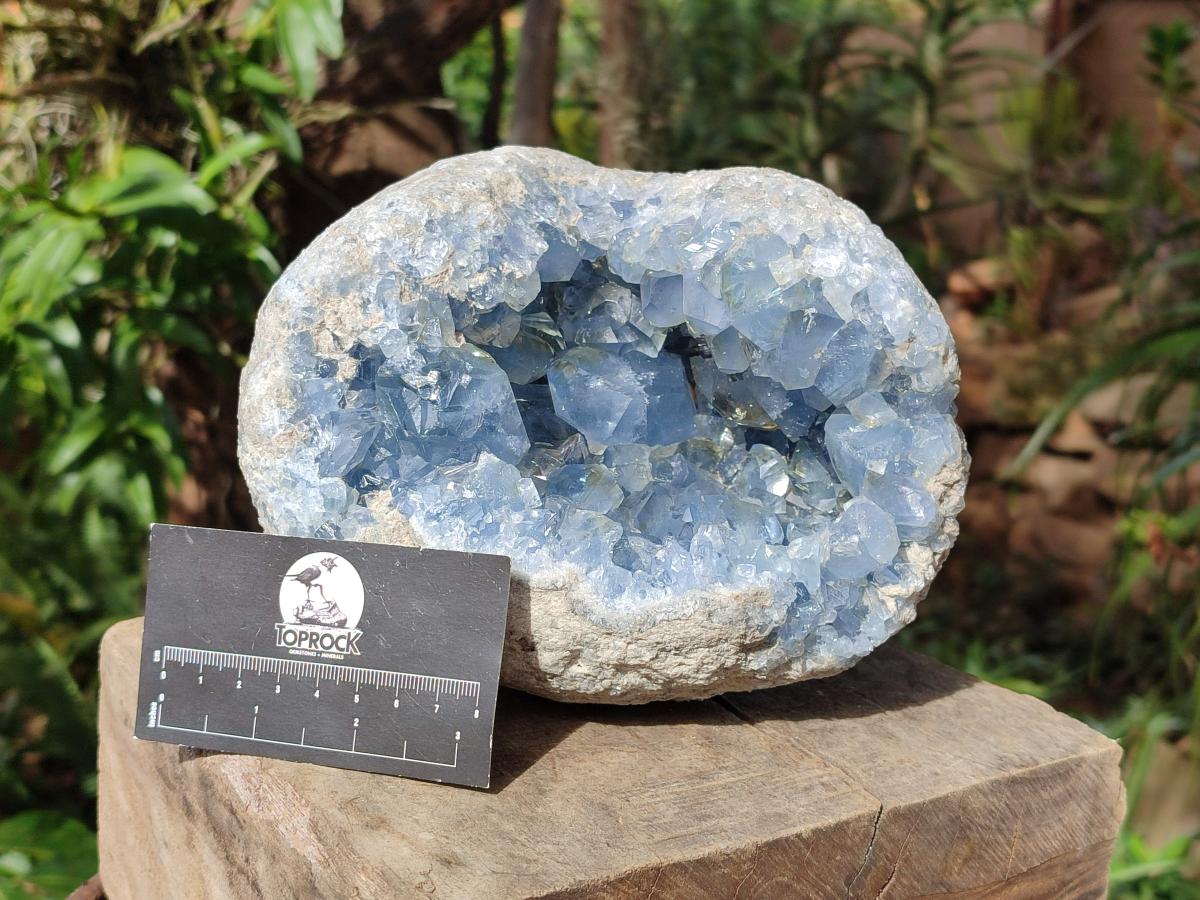 Natural Large Blue Celestite Geode Specimen x 1 From Sakoany, Madagascar - Toprock Gemstones and Minerals 