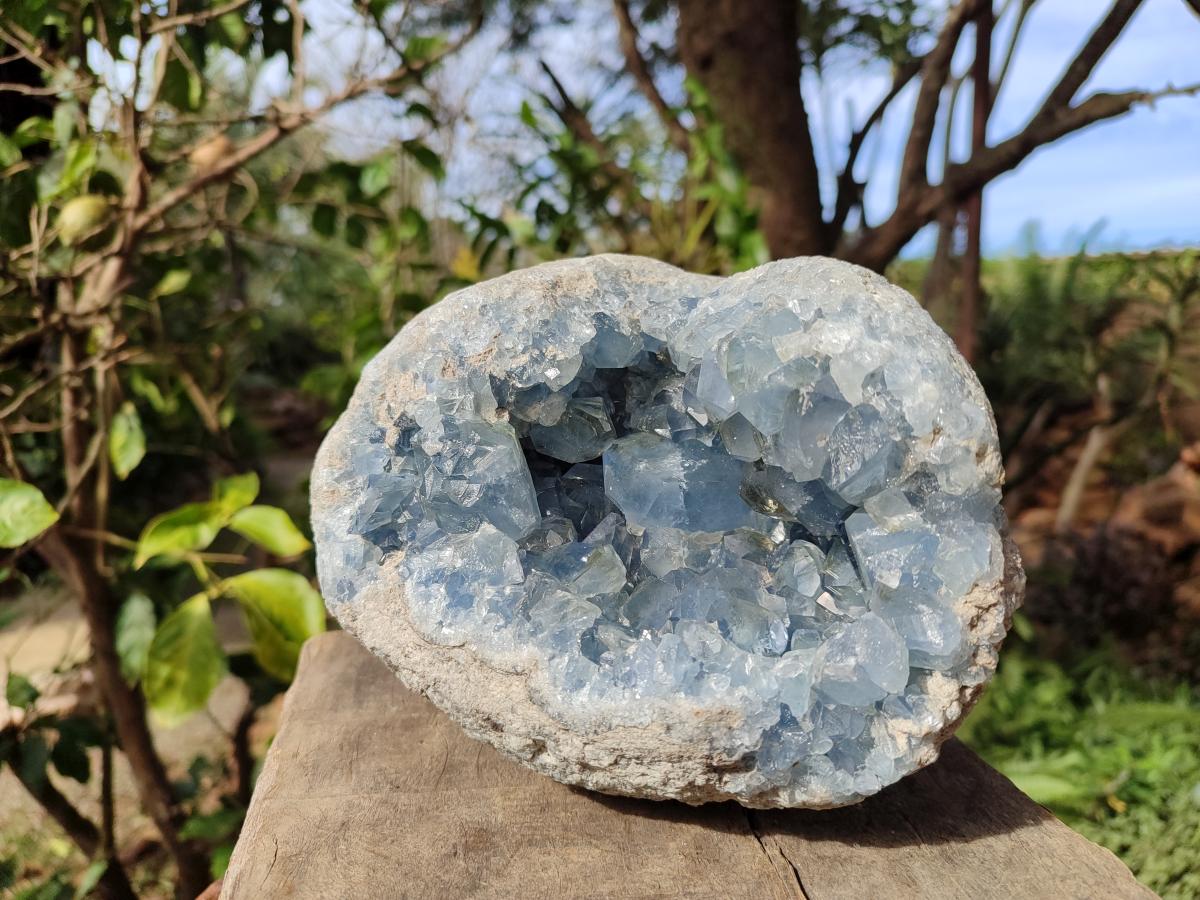 Natural Large Blue Celestite Geode Specimen x 1 From Sakoany, Madagascar - Toprock Gemstones and Minerals 