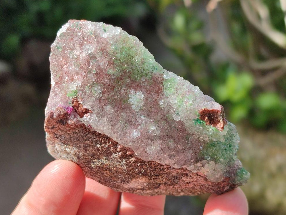 Natural Drusy Salrose Cobaltoan Dolomite with Associated Minerals x 6 From Kakanda, Congo - Toprock Gemstones and Minerals 