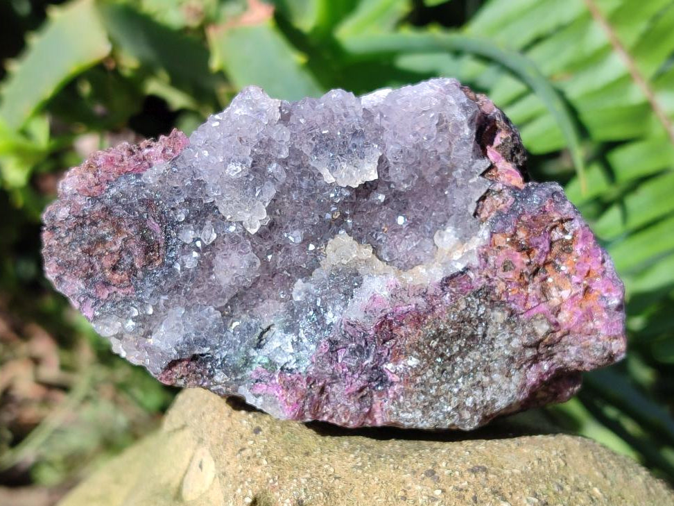 Natural Drusy Salrose Cobaltoan Dolomite with Associated Minerals x 6 From Kakanda, Congo - Toprock Gemstones and Minerals 