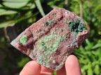Natural Drusy Salrose Cobaltoan Dolomite with Associated Minerals x 6 From Kakanda, Congo - Toprock Gemstones and Minerals 