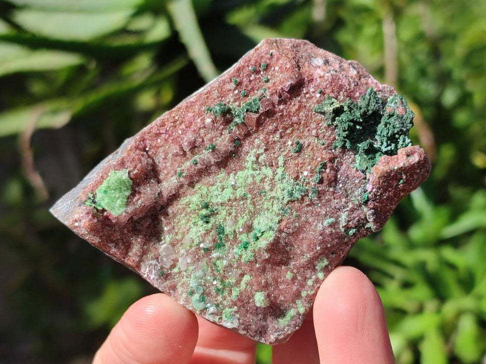 Natural Drusy Salrose Cobaltoan Dolomite with Associated Minerals x 6 From Kakanda, Congo - Toprock Gemstones and Minerals 