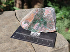 Natural Drusy Salrose Cobaltoan Dolomite with Associated Minerals x 6 From Kakanda, Congo - Toprock Gemstones and Minerals 