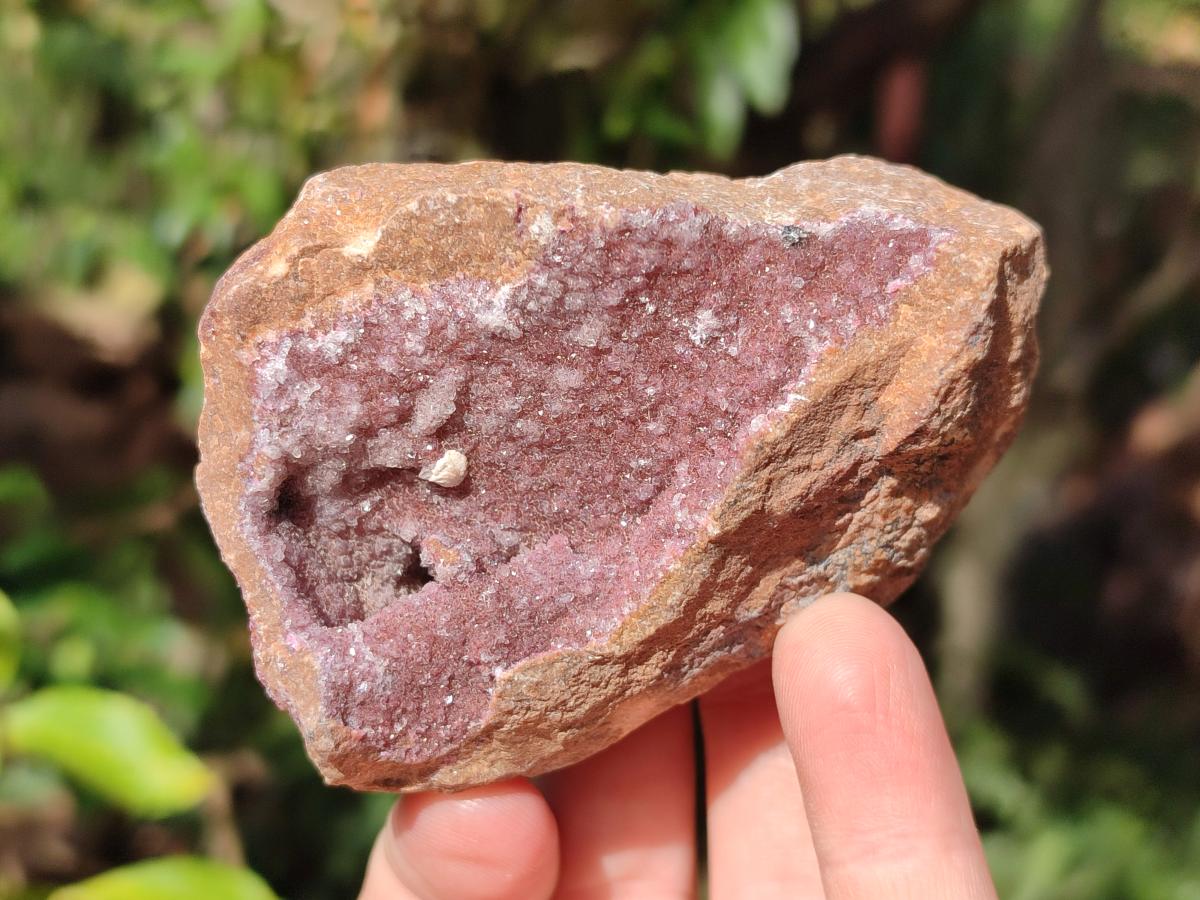 Natural Drusy Salrose Cobaltoan Dolomite with Associated Minerals x 6 From Kakanda, Congo - Toprock Gemstones and Minerals 