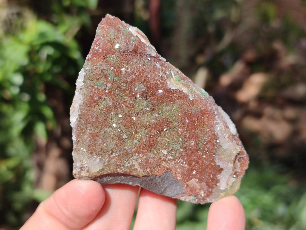 Natural Drusy Salrose Cobaltoan Dolomite with Associated Minerals x 6 From Kakanda, Congo - Toprock Gemstones and Minerals 