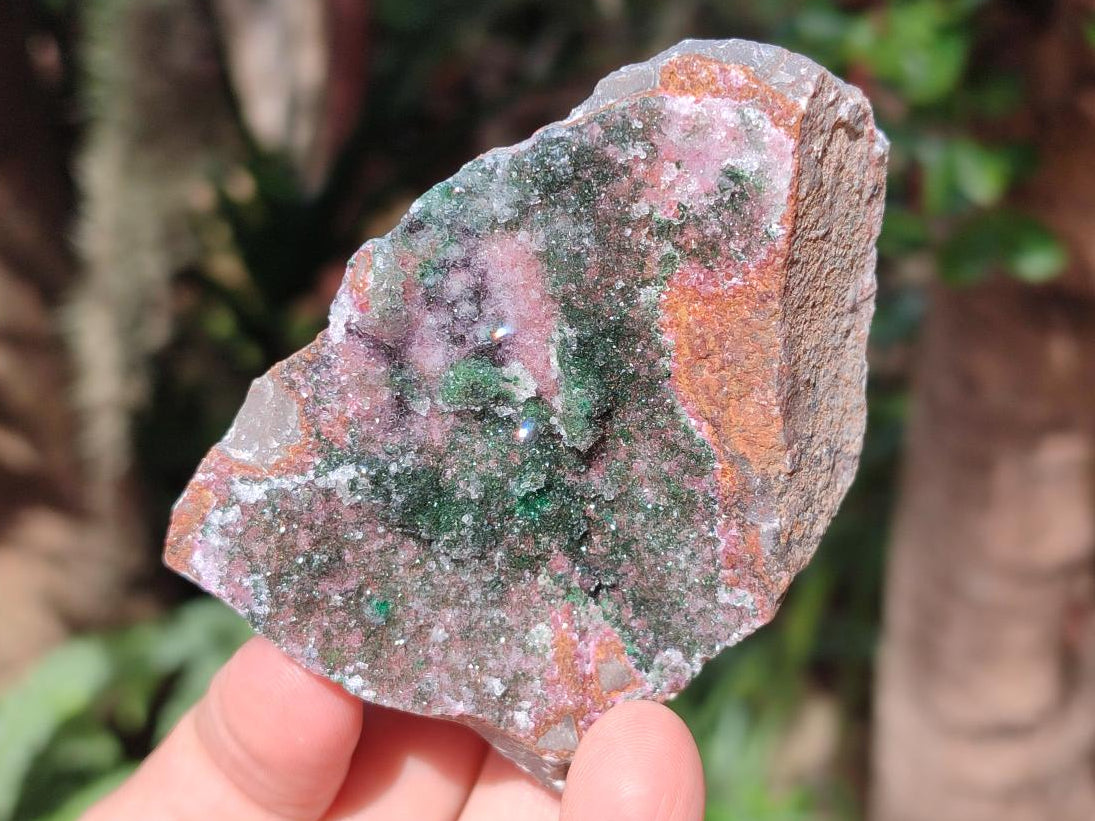 Natural Drusy Salrose Cobaltoan Dolomite with Associated Minerals x 6 From Kakanda, Congo - Toprock Gemstones and Minerals 
