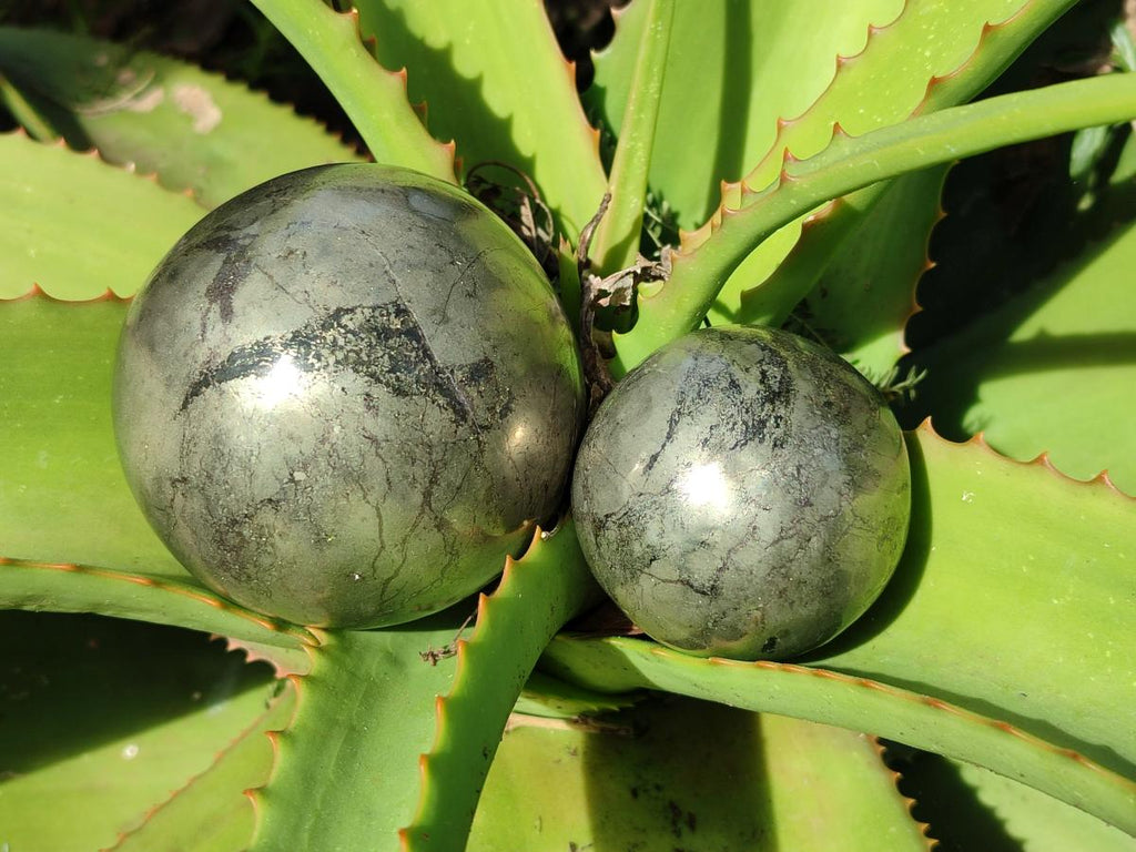 Polished Basalt Pharaoh Stone Spheres x 2 From Iron Duke Mine, Zimbabwe - Toprock Gemstones and Minerals 