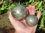 Polished Basalt Pharaoh Stone Spheres x 2 From Iron Duke Mine, Zimbabwe - Toprock Gemstones and Minerals 