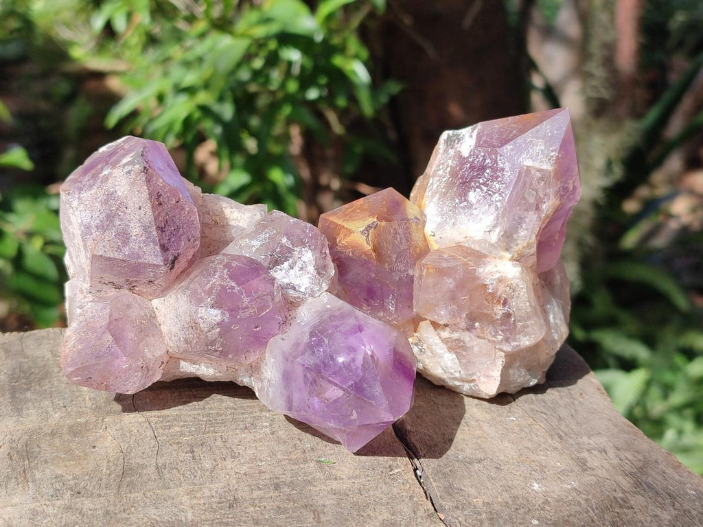 Natural Jacaranda Amethyst Clusters x 4 From Mumbwa, Zambia - Toprock Gemstones and Minerals 