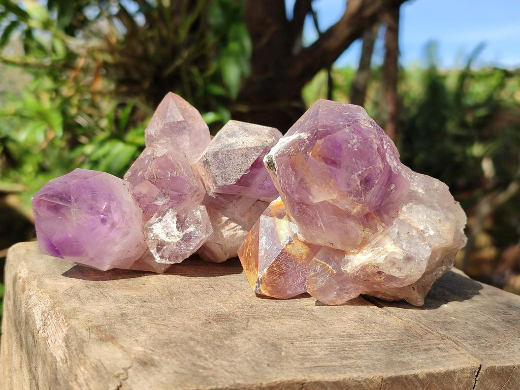 Natural Jacaranda Amethyst Clusters x 4 From Mumbwa, Zambia - Toprock Gemstones and Minerals 