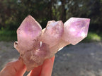 Natural Jacaranda Amethyst Clusters x 4 From Mumbwa, Zambia - Toprock Gemstones and Minerals 