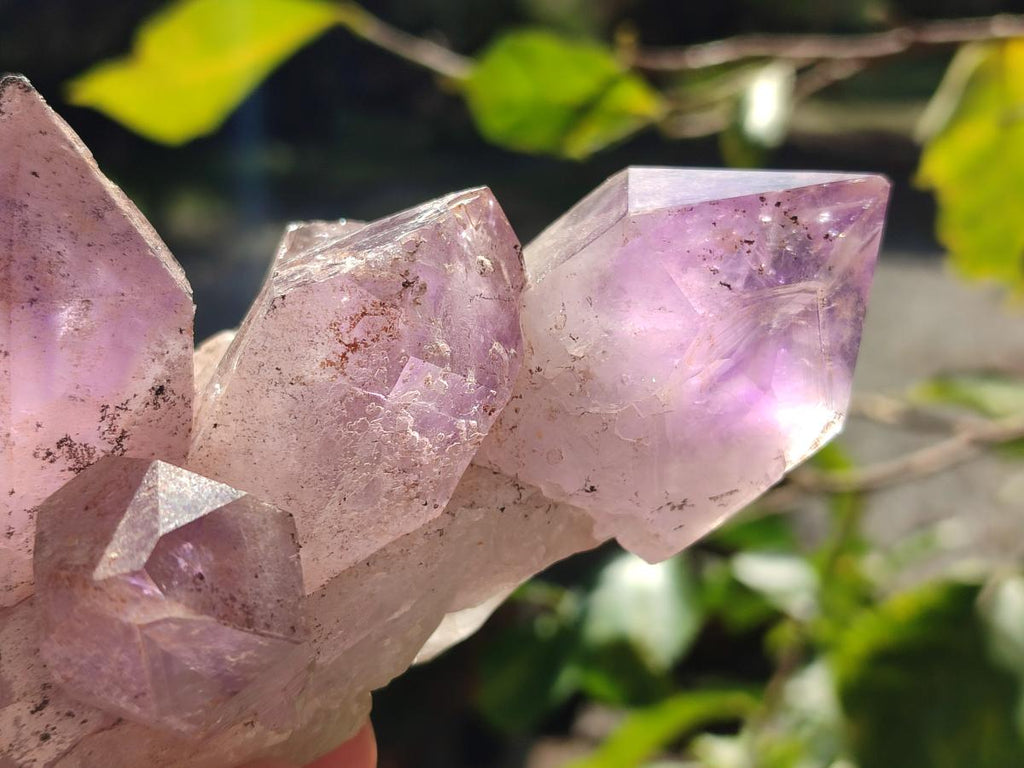 Natural Jacaranda Amethyst Clusters x 4 From Mumbwa, Zambia - Toprock Gemstones and Minerals 