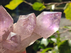 Natural Jacaranda Amethyst Clusters x 4 From Mumbwa, Zambia - Toprock Gemstones and Minerals 
