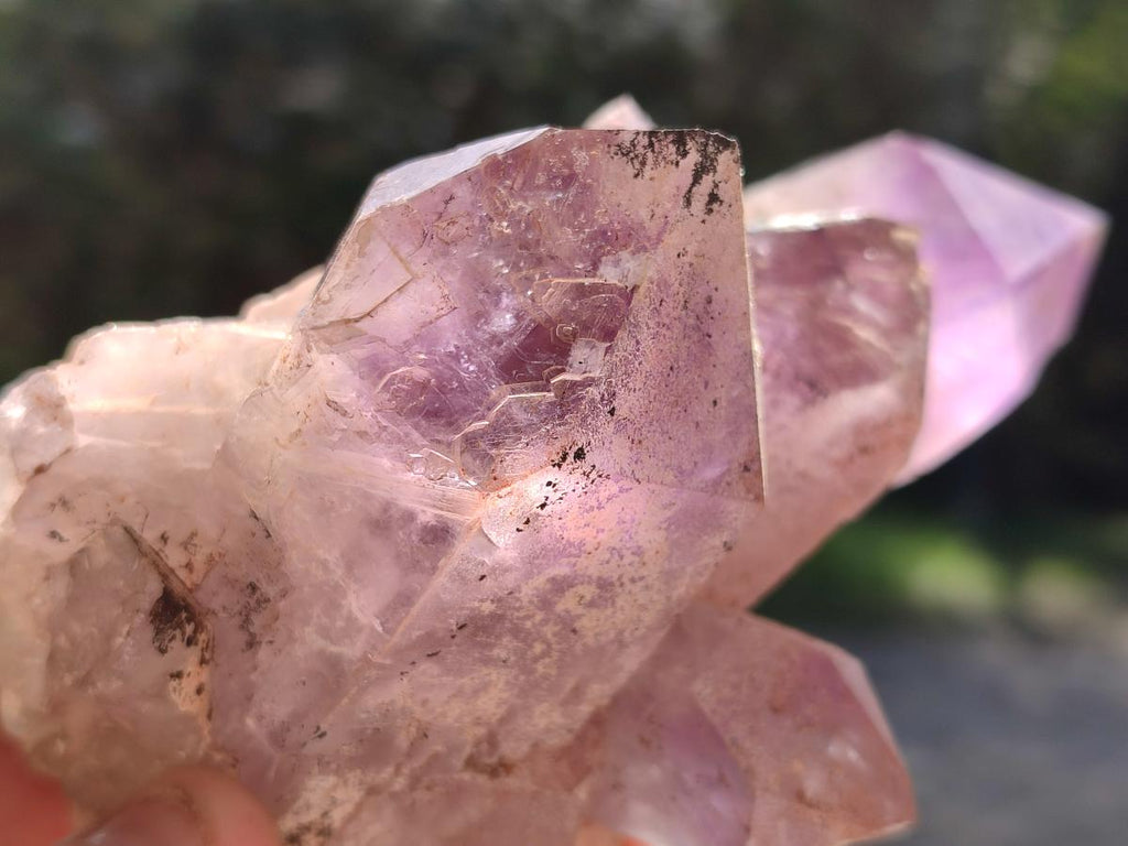 Natural Jacaranda Amethyst Clusters x 4 From Mumbwa, Zambia - Toprock Gemstones and Minerals 