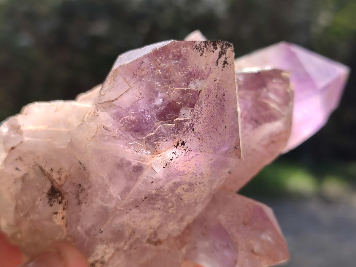 Natural Jacaranda Amethyst Clusters x 4 From Mumbwa, Zambia - Toprock Gemstones and Minerals 