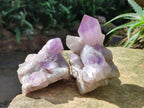 Natural Jacaranda Amethyst Clusters x 4 From Mumbwa, Zambia - Toprock Gemstones and Minerals 