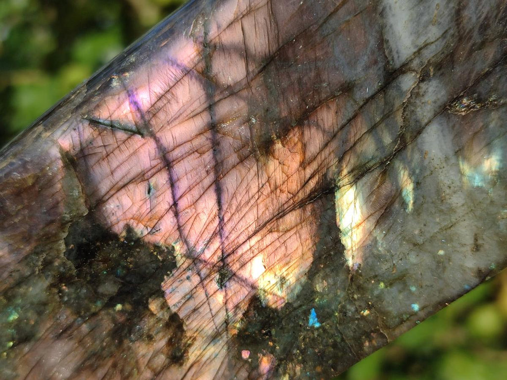 Polished Labradorite Standing Display Pieces x 3 From Madagascar - Toprock Gemstones and Minerals 