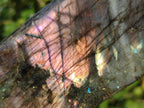 Polished Labradorite Standing Display Pieces x 3 From Madagascar - Toprock Gemstones and Minerals 