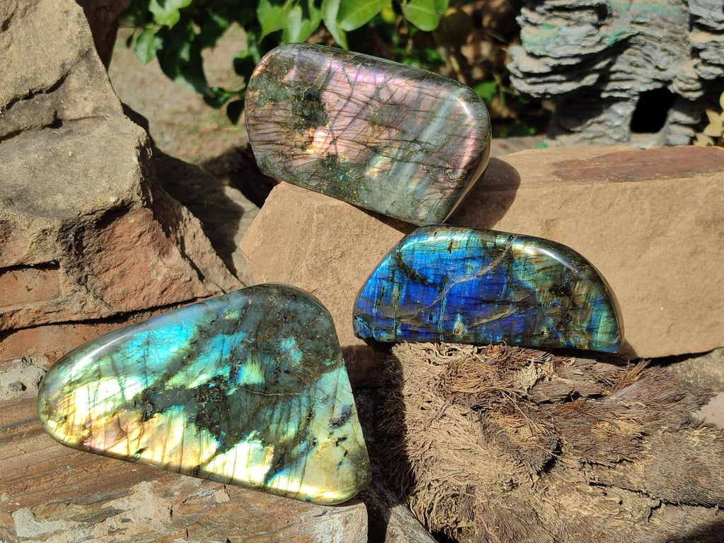 Polished Labradorite Standing Display Pieces x 3 From Madagascar - Toprock Gemstones and Minerals 