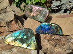 Polished Labradorite Standing Display Pieces x 3 From Madagascar - Toprock Gemstones and Minerals 