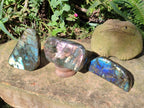 Polished Labradorite Standing Display Pieces x 3 From Madagascar - Toprock Gemstones and Minerals 