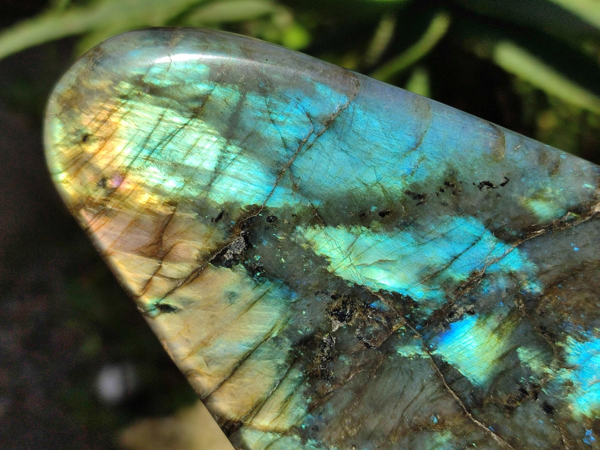 Polished Labradorite Standing Display Pieces x 3 From Madagascar - Toprock Gemstones and Minerals 