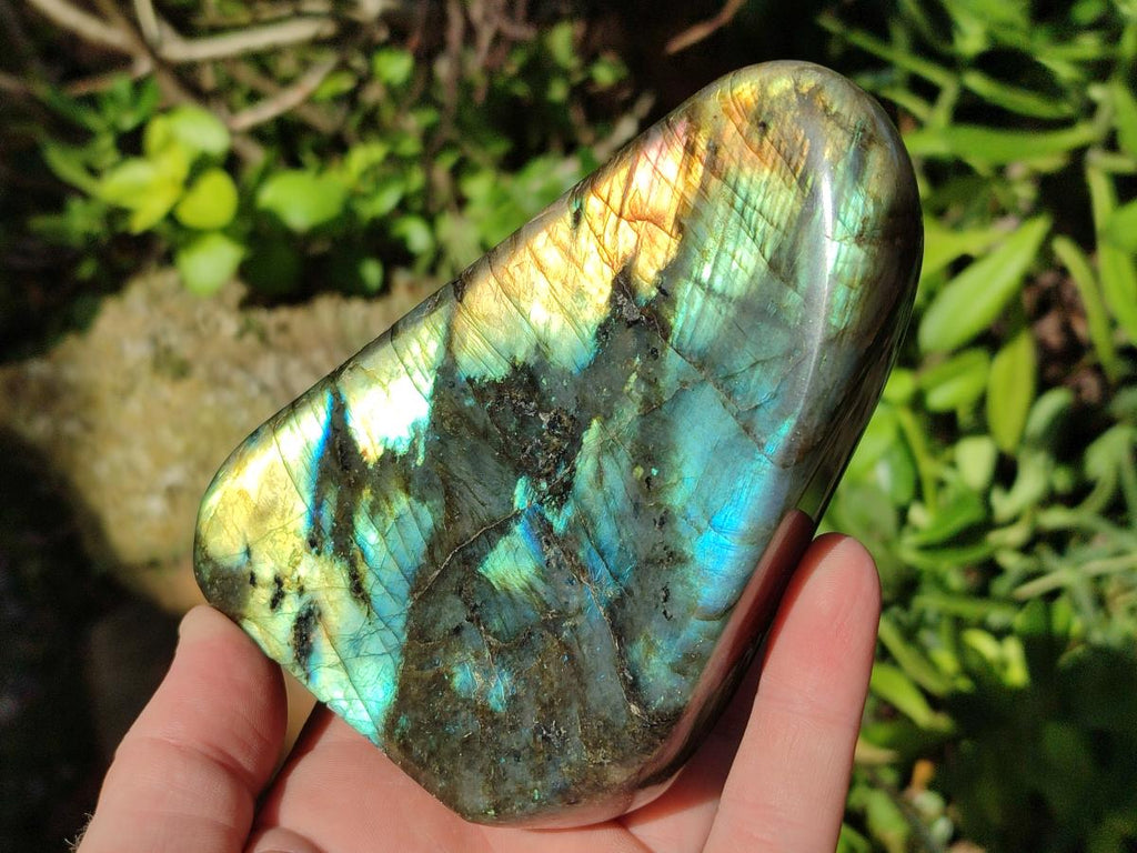 Polished Labradorite Standing Display Pieces x 3 From Madagascar - Toprock Gemstones and Minerals 