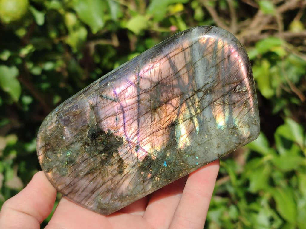 Polished Labradorite Standing Display Pieces x 3 From Madagascar - Toprock Gemstones and Minerals 