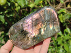 Polished Labradorite Standing Display Pieces x 3 From Madagascar - Toprock Gemstones and Minerals 