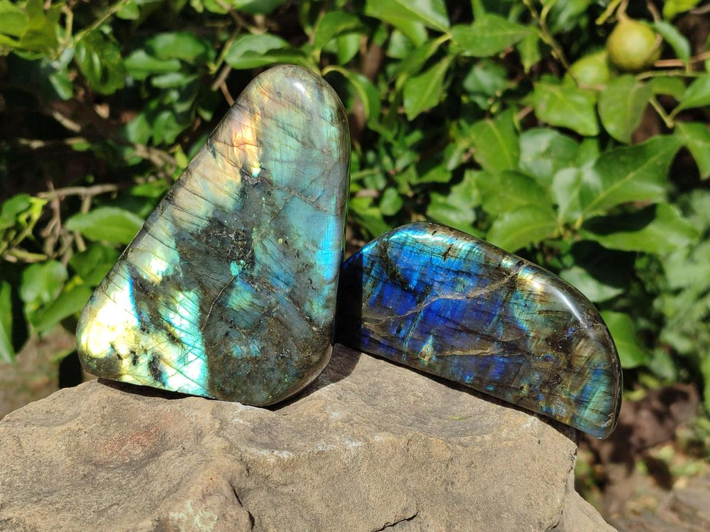 Polished Labradorite Standing Display Pieces x 3 From Madagascar - Toprock Gemstones and Minerals 