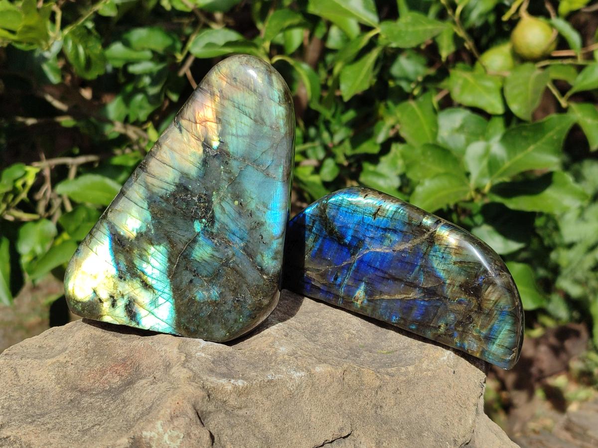 Polished Labradorite Standing Display Pieces x 3 From Madagascar - Toprock Gemstones and Minerals 