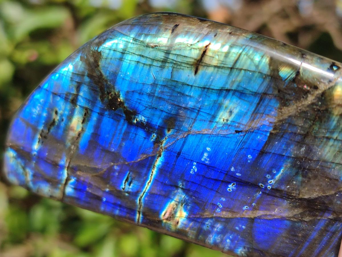 Polished Labradorite Standing Display Pieces x 3 From Madagascar - Toprock Gemstones and Minerals 