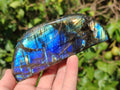 Polished Labradorite Standing Display Pieces x 3 From Madagascar - Toprock Gemstones and Minerals 