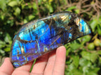 Polished Labradorite Standing Display Pieces x 3 From Madagascar - Toprock Gemstones and Minerals 