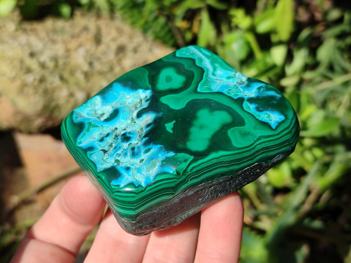 Polished Malacolla Free Forms x 6 From Kulukuluku, Congo - Toprock Gemstones and Minerals 