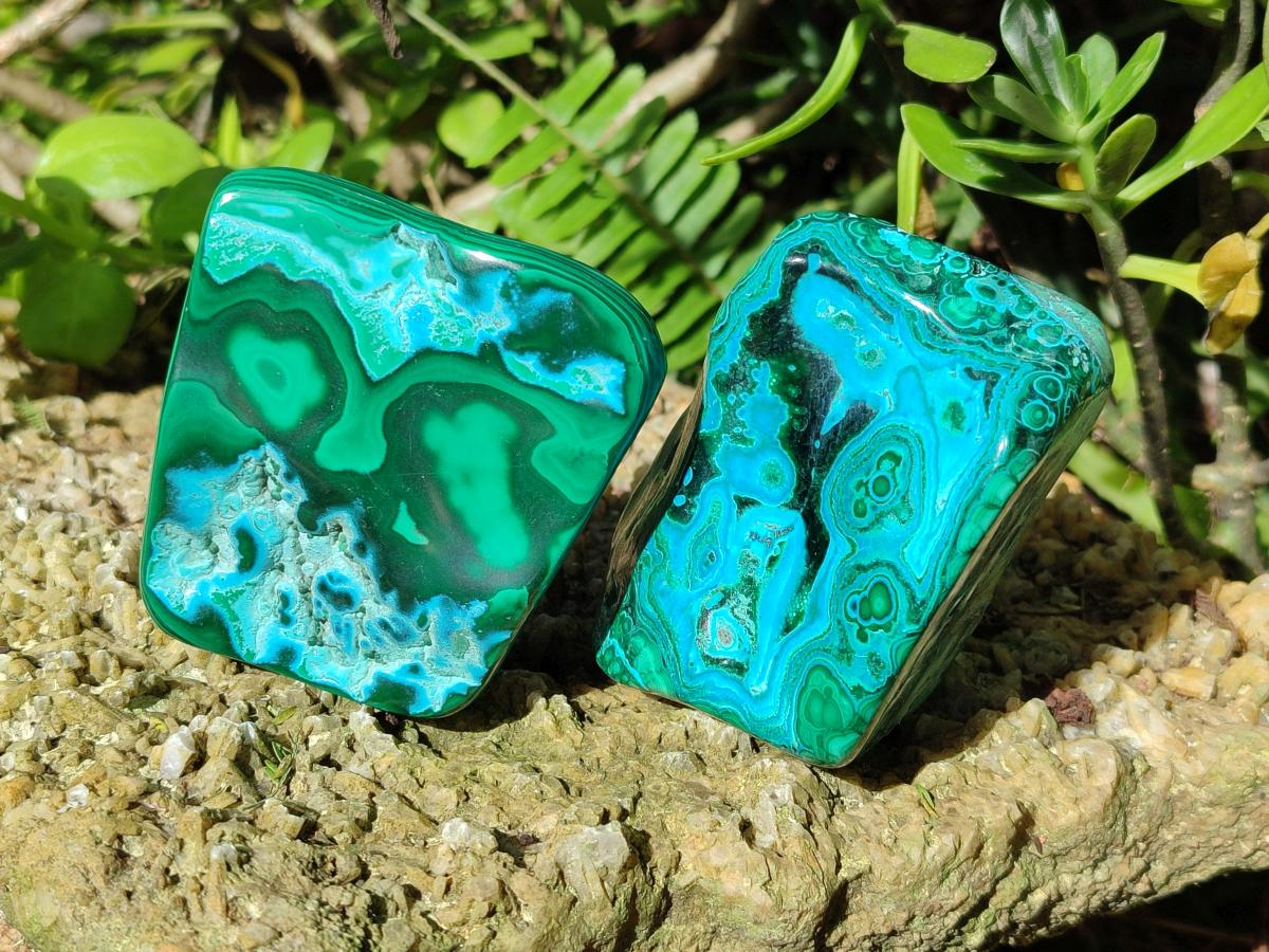 Polished Malacolla Free Forms x 6 From Kulukuluku, Congo - Toprock Gemstones and Minerals 