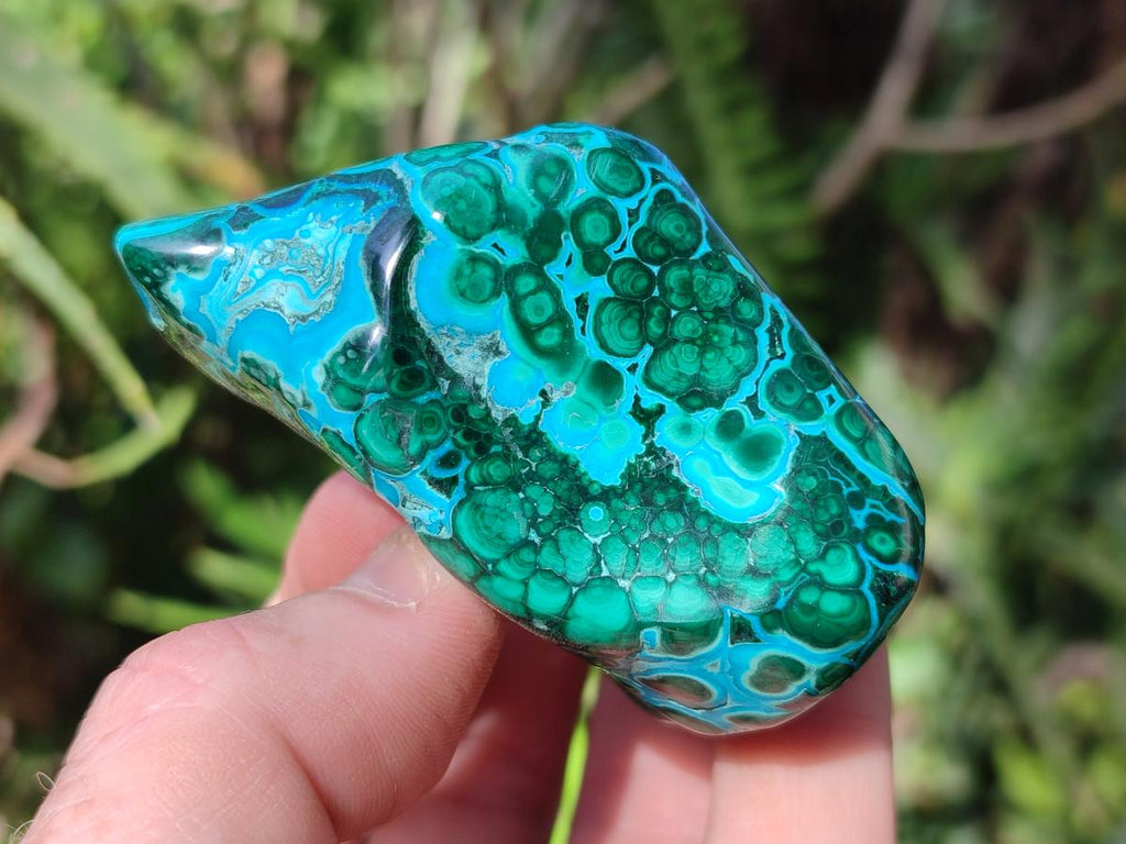 Polished Malacolla Free Forms x 6 From Kulukuluku, Congo - Toprock Gemstones and Minerals 