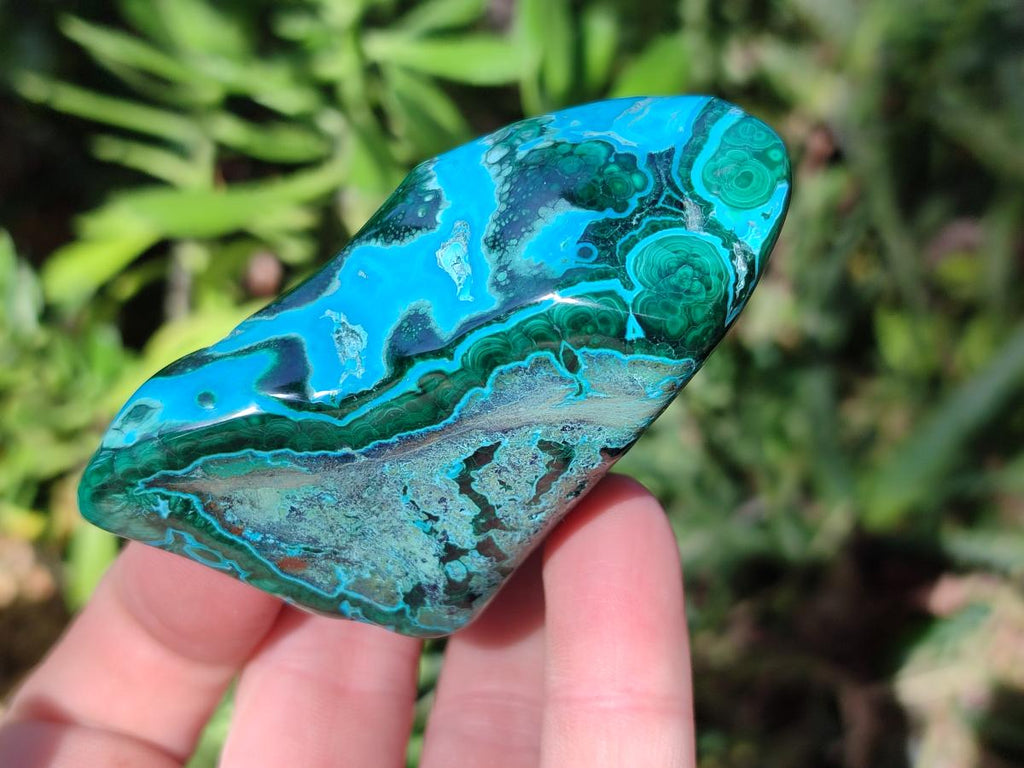 Polished Malacolla Free Forms x 6 From Kulukuluku, Congo - Toprock Gemstones and Minerals 