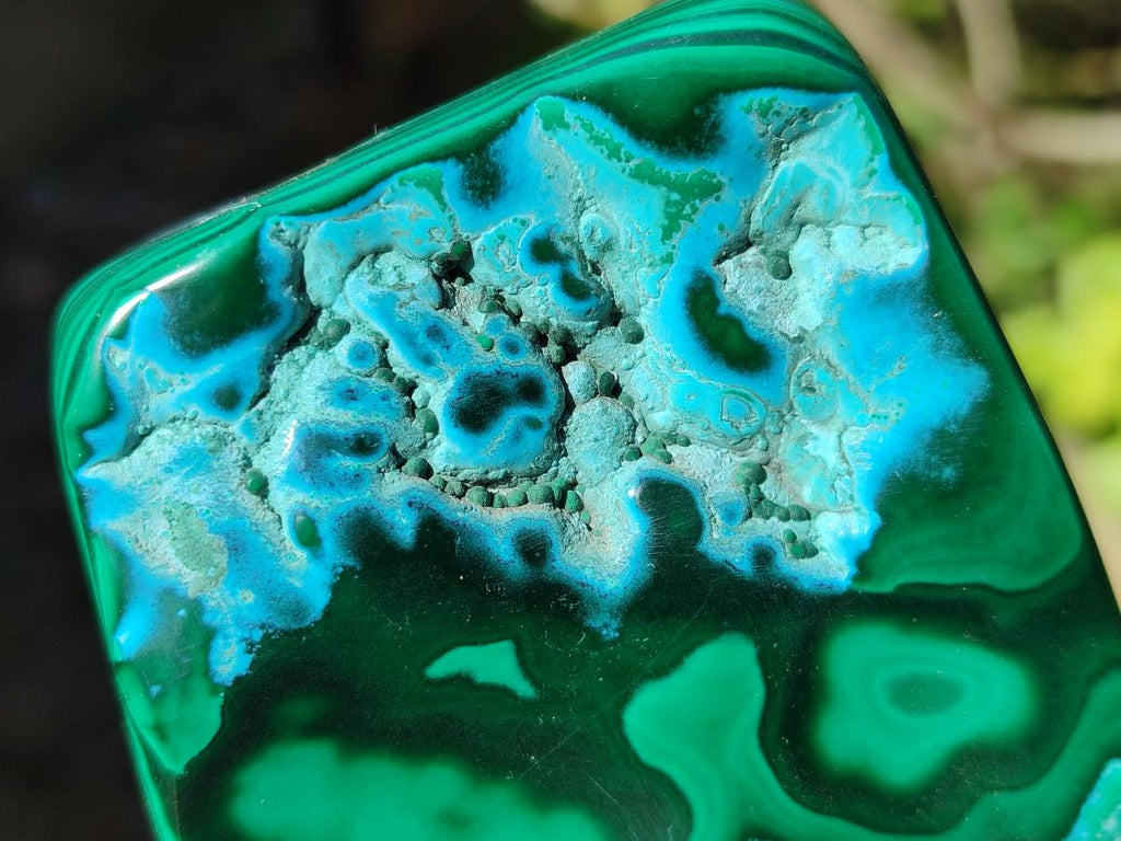 Polished Malacolla Free Forms x 6 From Kulukuluku, Congo - Toprock Gemstones and Minerals 