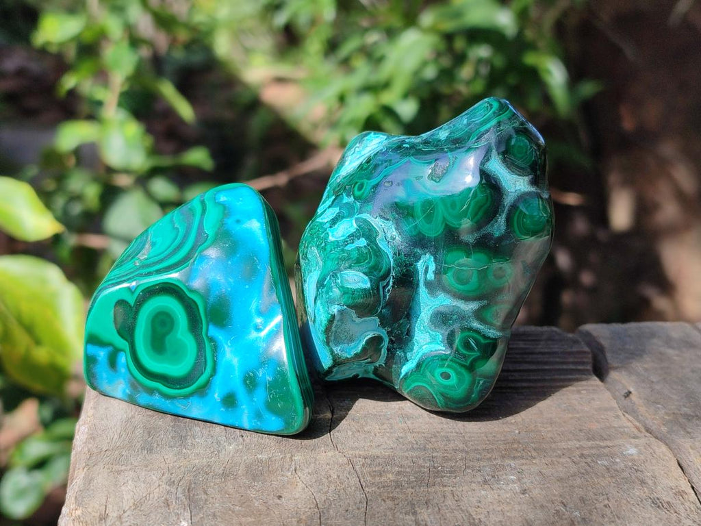 Polished Malacolla Free Forms x 6 From Kulukuluku, Congo - Toprock Gemstones and Minerals 