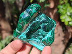 Polished Malacolla Free Forms x 6 From Kulukuluku, Congo - Toprock Gemstones and Minerals 
