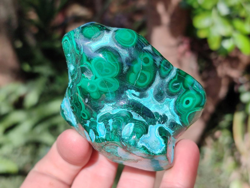 Polished Malacolla Free Forms x 6 From Kulukuluku, Congo - Toprock Gemstones and Minerals 